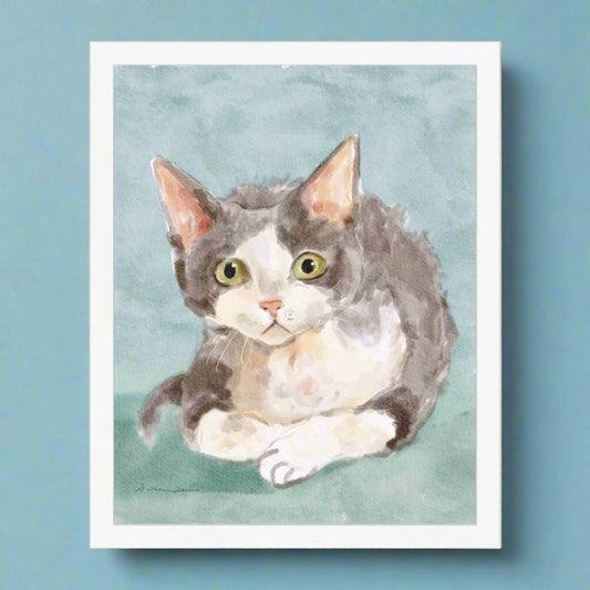 Devon Rex Cat Portrait Framed Print