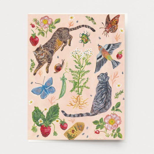 Cat Garden Pack of 10 Greeting Cards