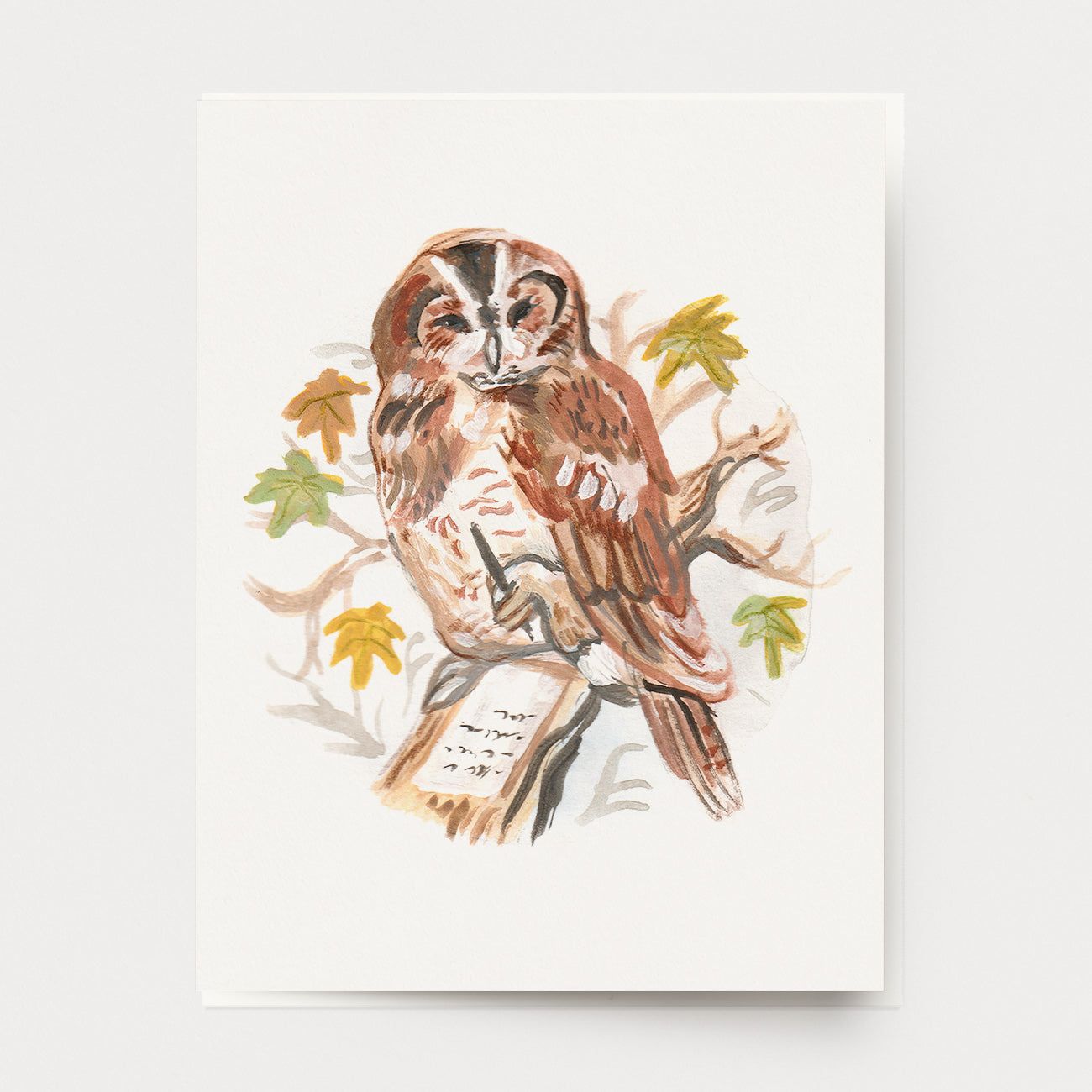 Owl Penpal Greeting Card