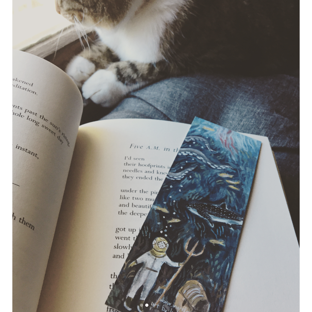 Wonders of the Deep Double-Sided Bookmark 16 Set