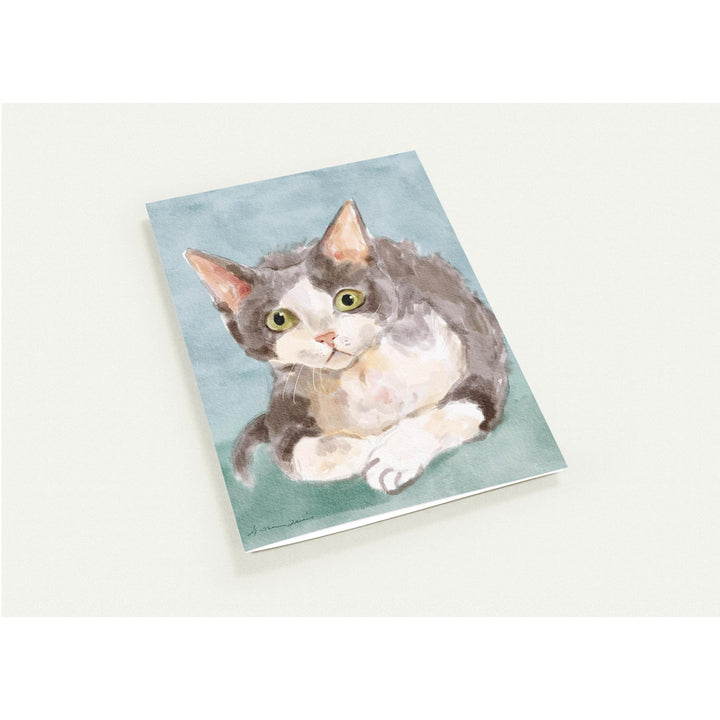 053b3693-5588-4677-8d3b-6a0c95369105