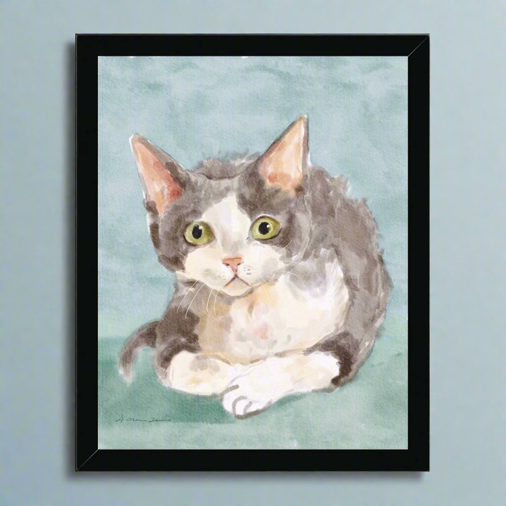 Devon Rex Cat Portrait Framed Print