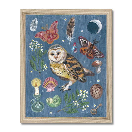 Owl Night Framed Illustration Print