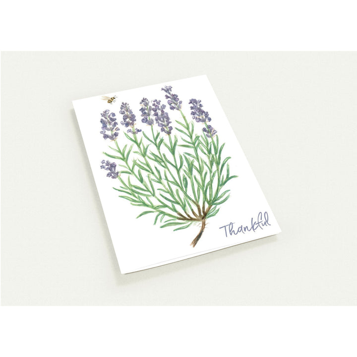 420ab7f2-89e7-4f16-a71b-b32bd2736e90