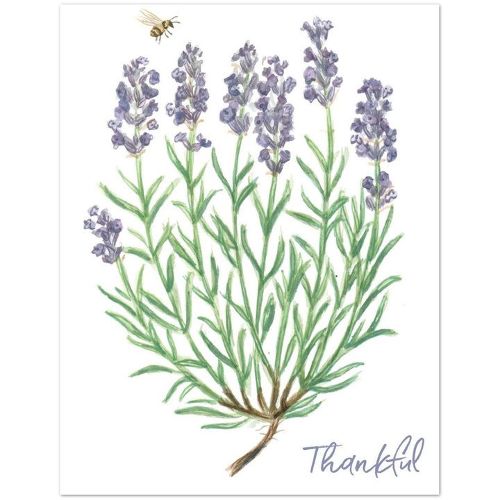 479ed92b-a06d-4b6c-b01f-a2c650351f46