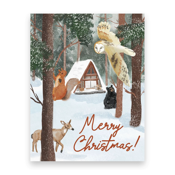 Wildlife Christmas 10 Postcards