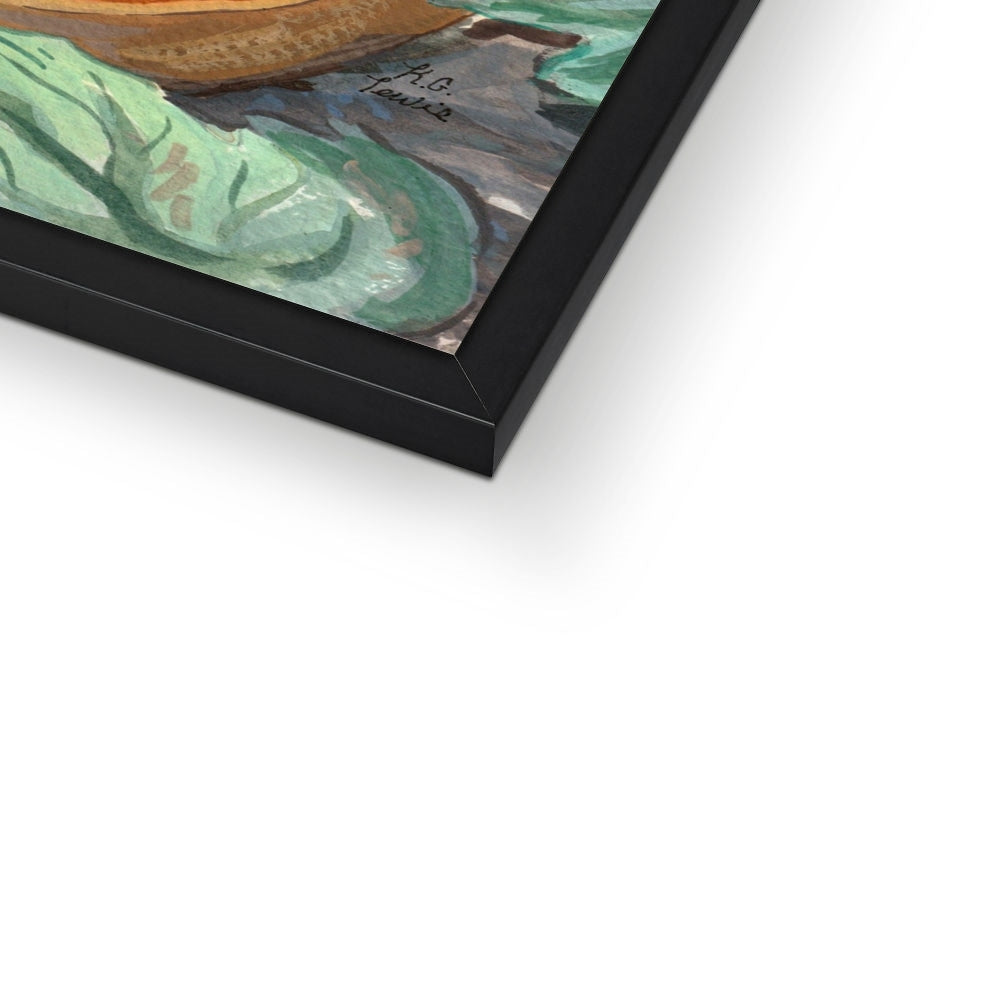 Snug Magic Framed Print