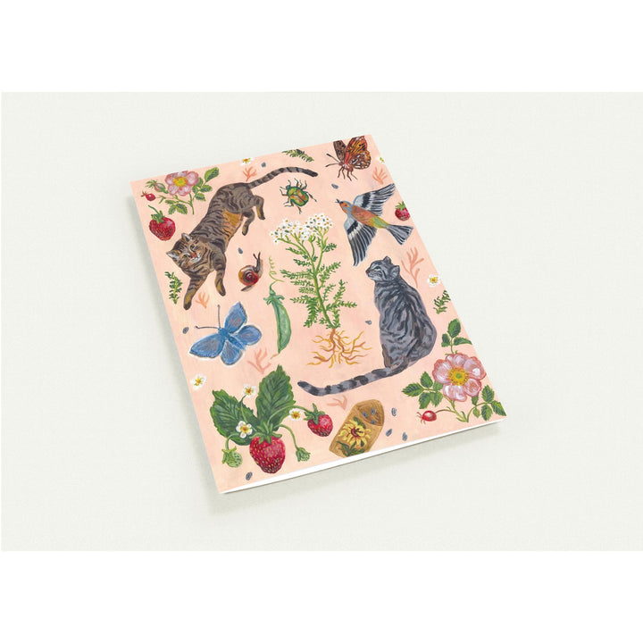 6e2ffbbd-f1fb-4f7a-9a84-c24e579df13f