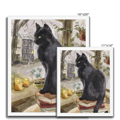 Black Window Cat Portrait Framed Print