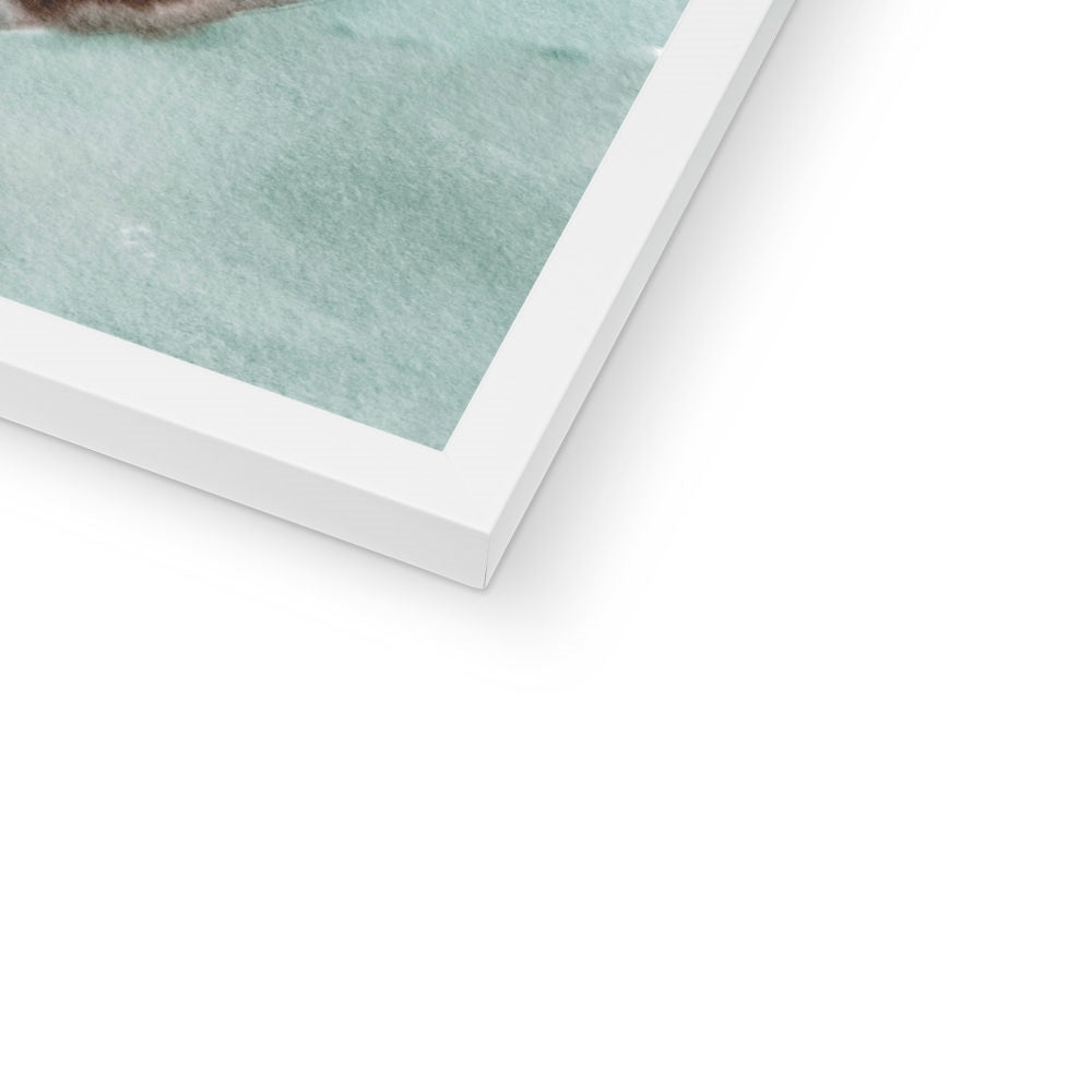Devon Rex Cat Portrait Framed Print