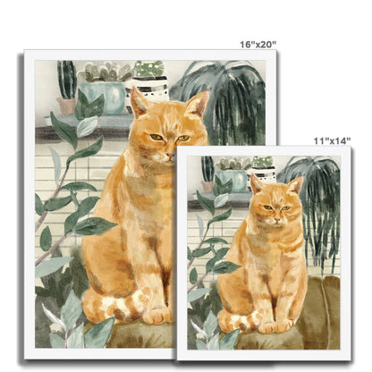 Orange Sofa Cat Portrait Framed Print