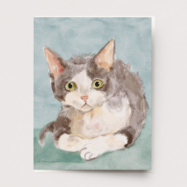 Devon Rex Cat Card U-186