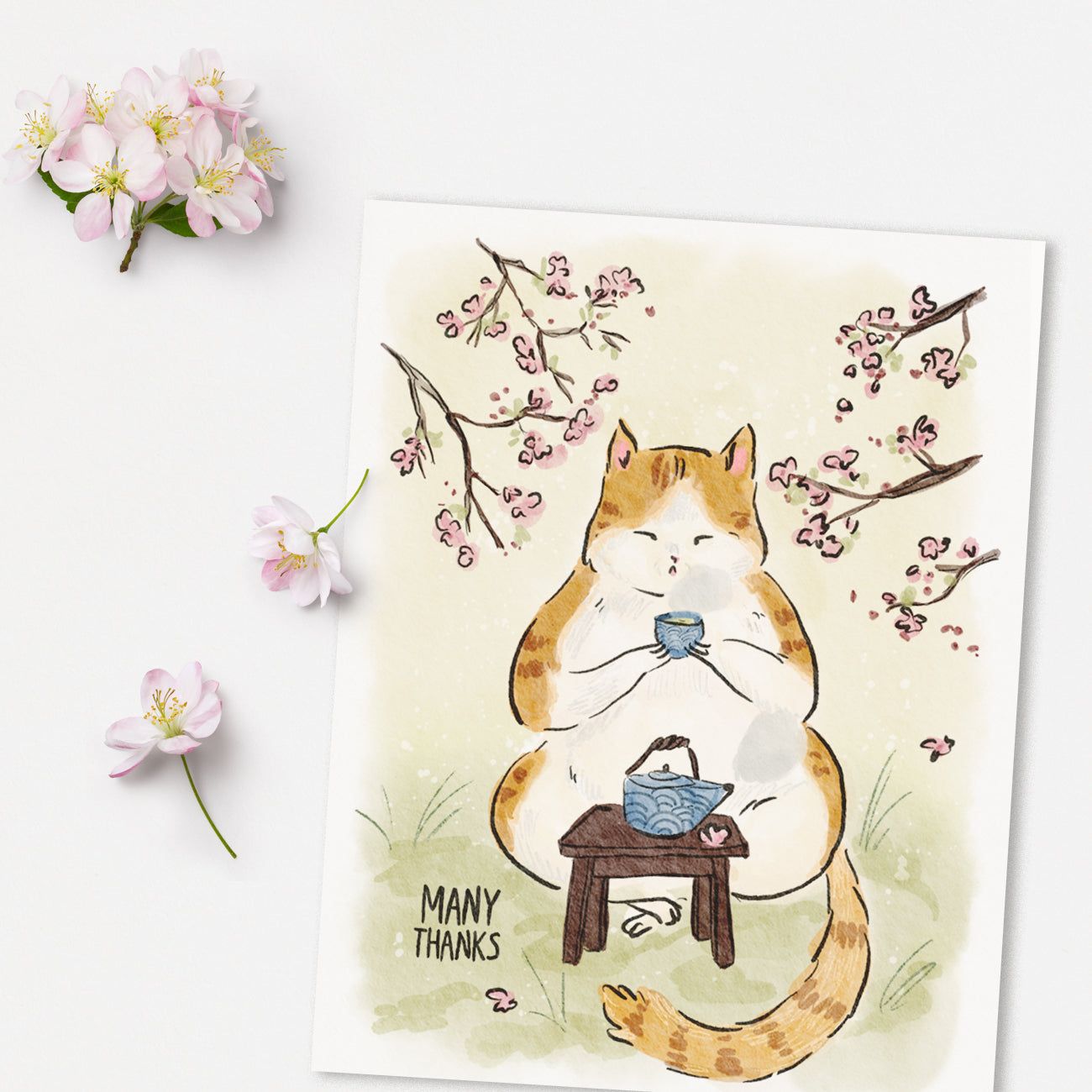 Matcha Cat Pack of 10 Greeting Cards