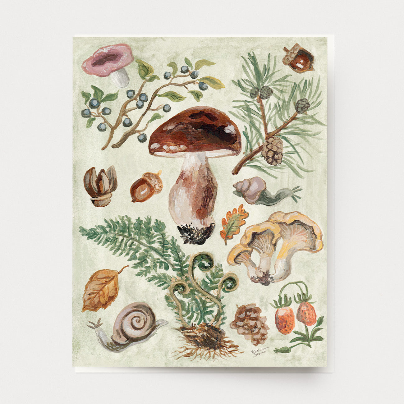 Mushroom Forest Pack of 10 Greeting Cards