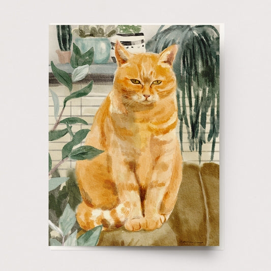 Orange Sofa Cat Greeting Card