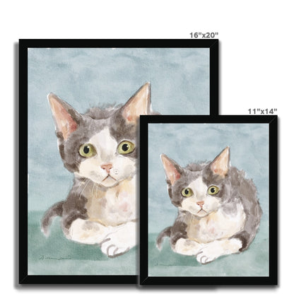 Devon Rex Cat Portrait Framed Print