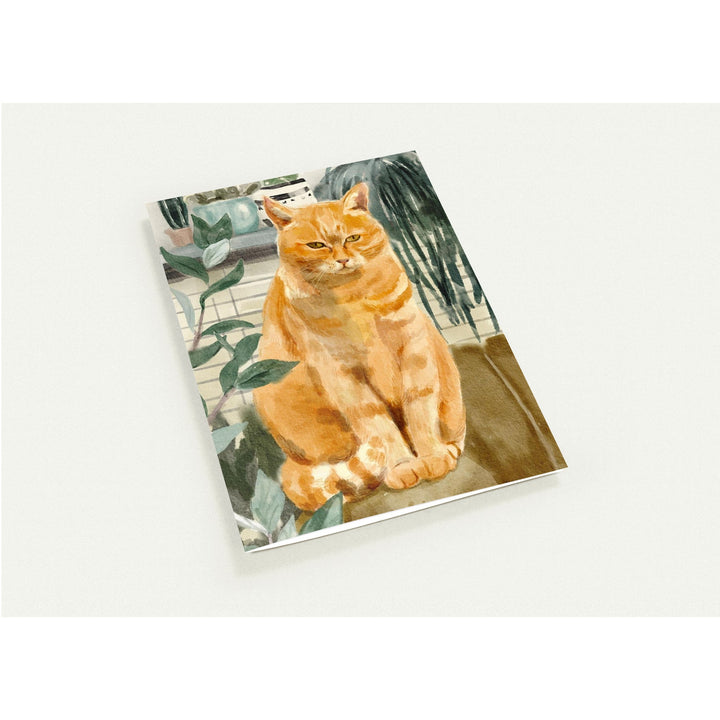 a8d62429-c9f9-4cc8-b4cf-6aa5a13fe3e4