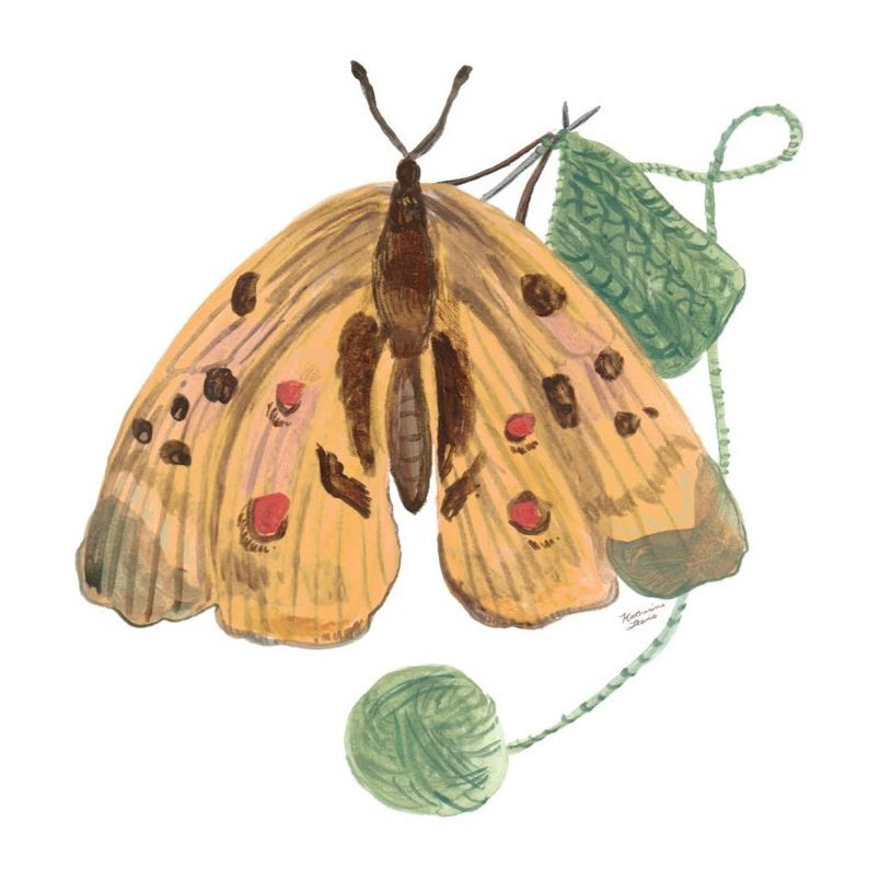 Knitting Butterfly Framed Illustration Print 12x12
