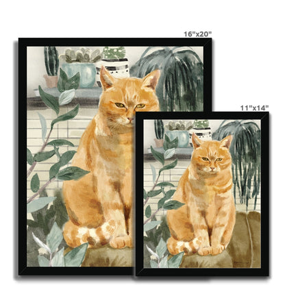 Orange Sofa Cat Portrait Framed Print