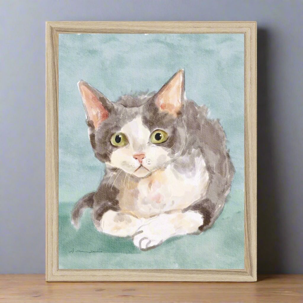 Devon Rex Cat Portrait Framed Print