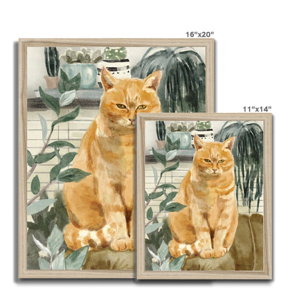 Orange Sofa Cat Portrait Framed Print