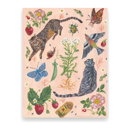 Cat Garden 10 Postcards