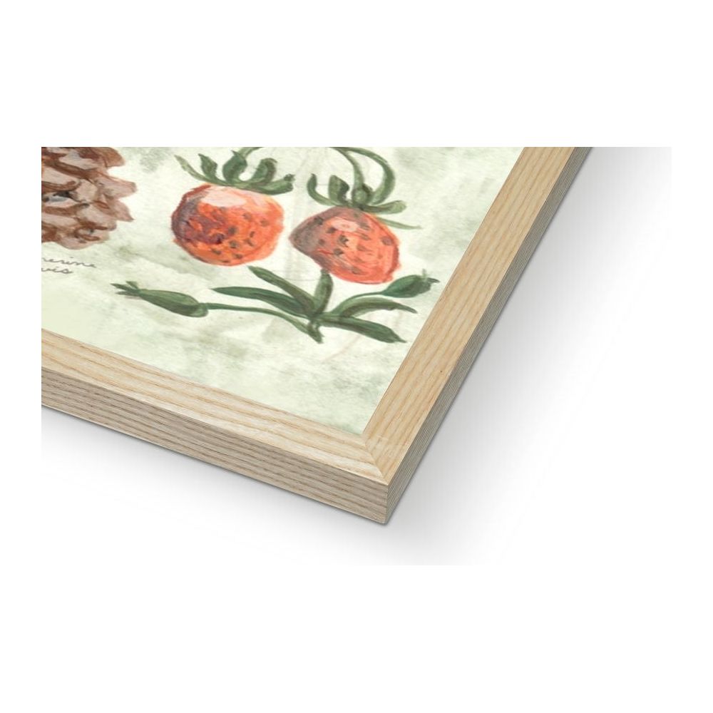 Mushroom Forest Framed Illustration Print