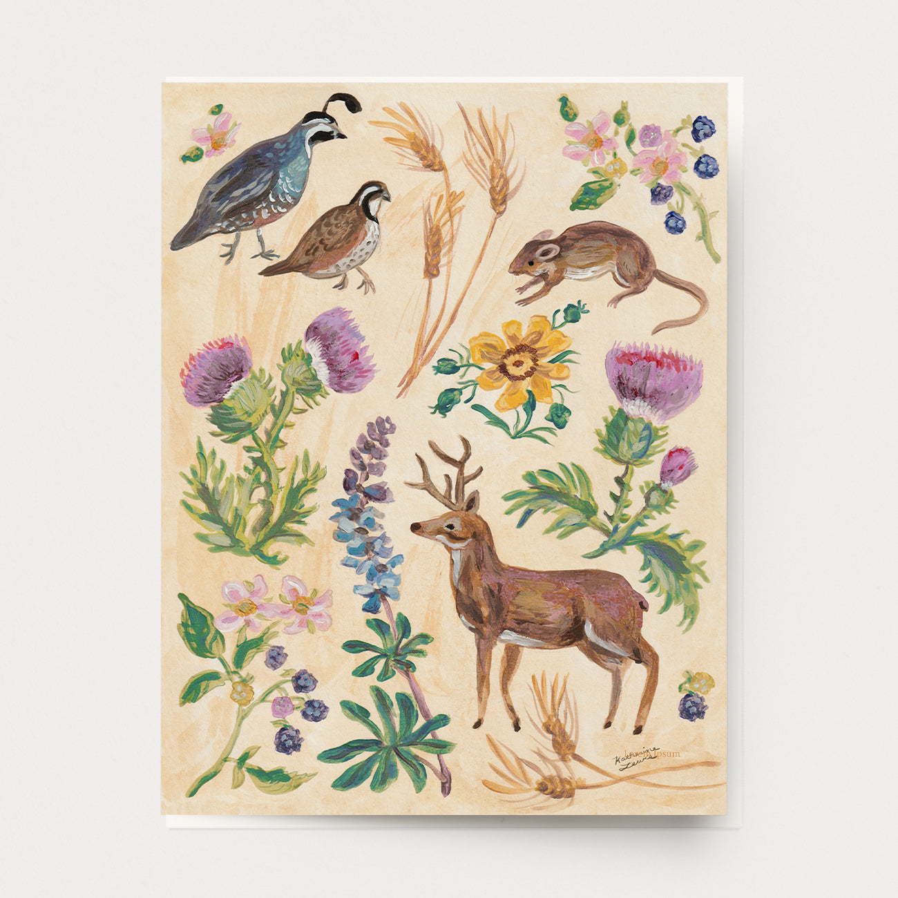 Greeting card of botanical studies of field flora and fauna: deer, quail, mice, thistle, blackberry, lupine and rose. Ingrid Press, made in the USA.
