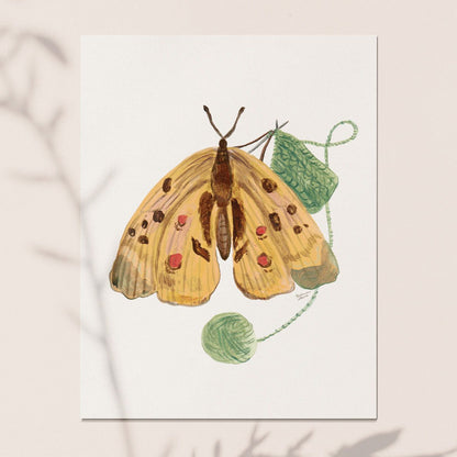 Knitting Butterfly 10 Postcards