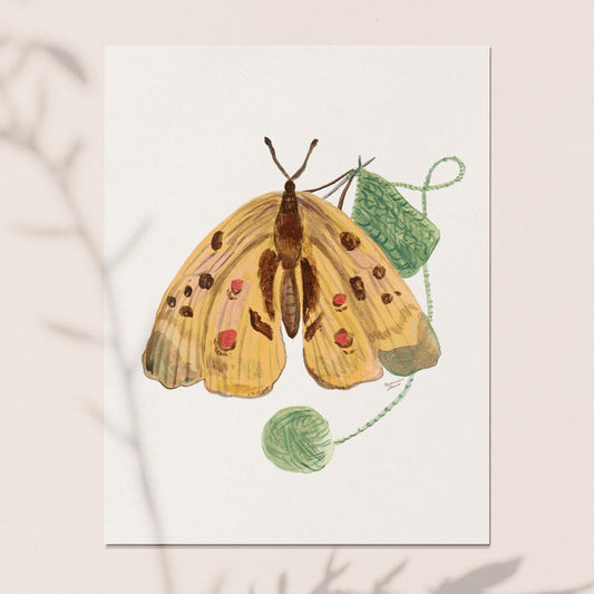 Knitting Butterfly 10 Postcards
