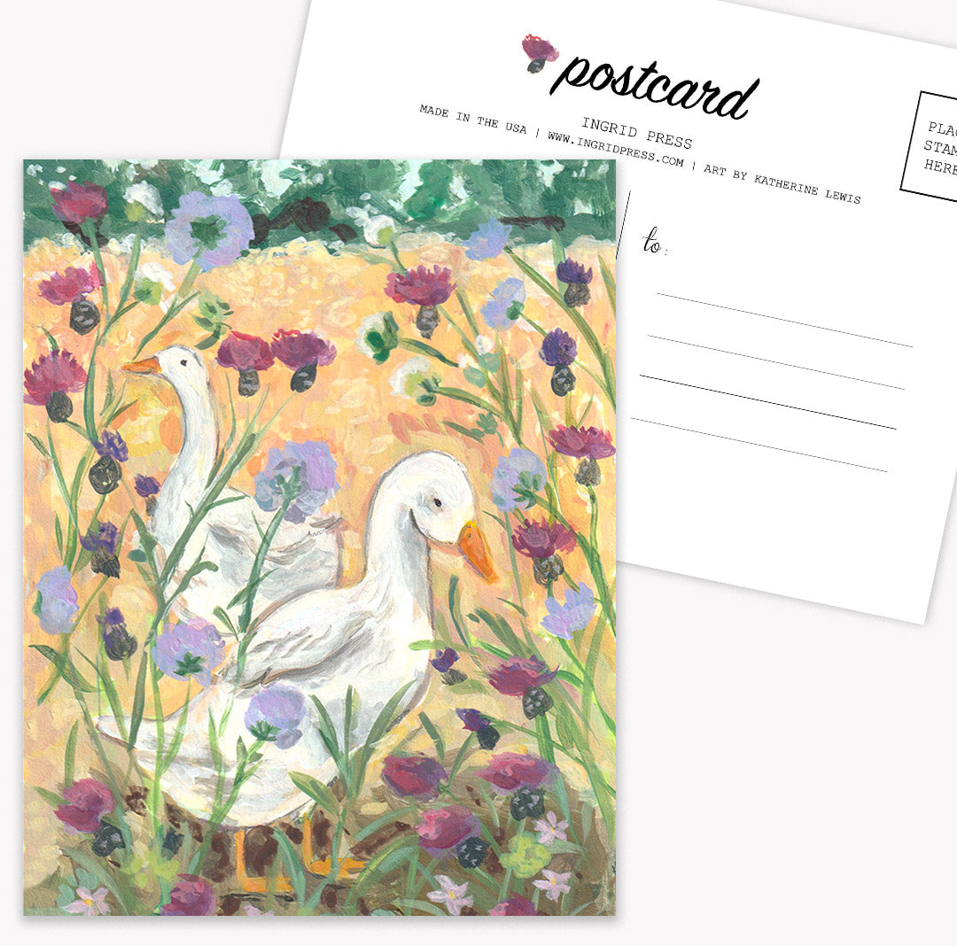 Meadow Ducks | 10 Postcards