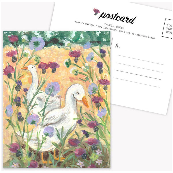 Meadow Ducks 10 Postcards U-161-P