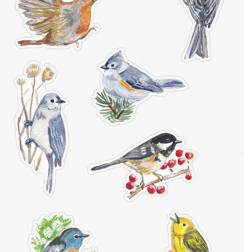 Wild Birds Sticker Sheet