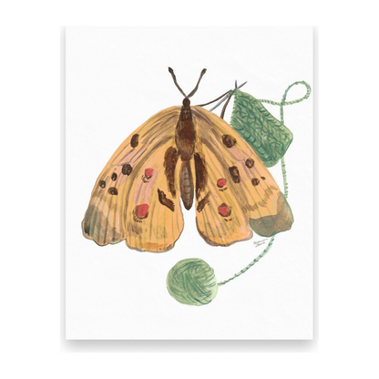 Knitting Butterfly 10 Postcards