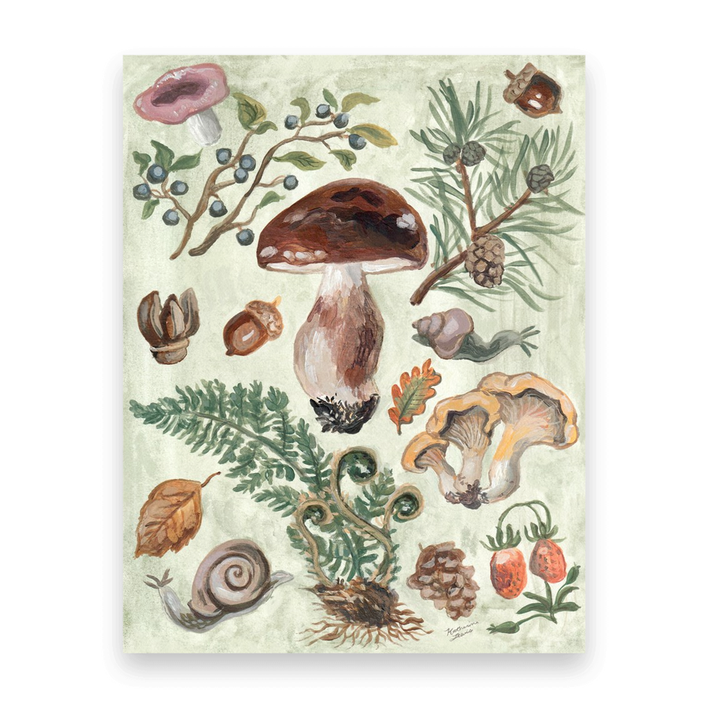 Mushroom Forest | 10 Postcards