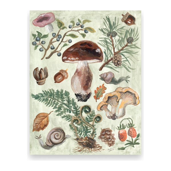 Mushroom Forest 10 Notecards N-105-P