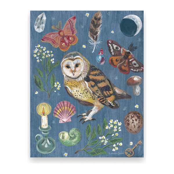 Owl Night 10 Postcards U-137-P